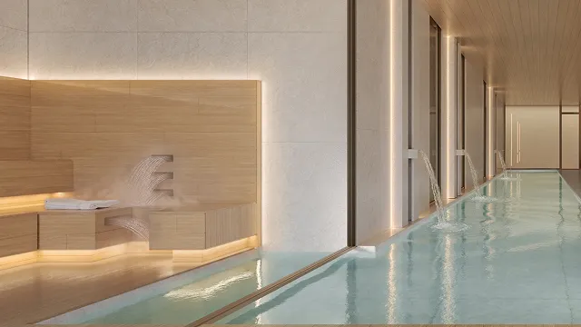 Sauna à vapor